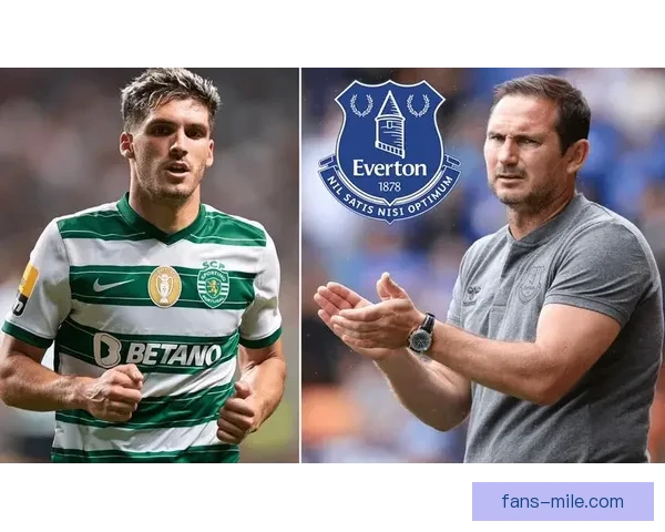 埃弗顿因财务违规单赛季两度遭扣积分 俱乐部面临严峻挑战